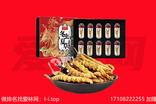 共和冬虫夏草回收